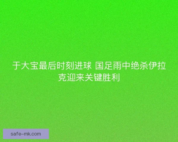 于大宝最后时刻进球 国足雨中绝杀伊拉克迎来关键胜利 于大宝最后时刻进球 国足雨中绝杀伊拉克迎来关键胜利